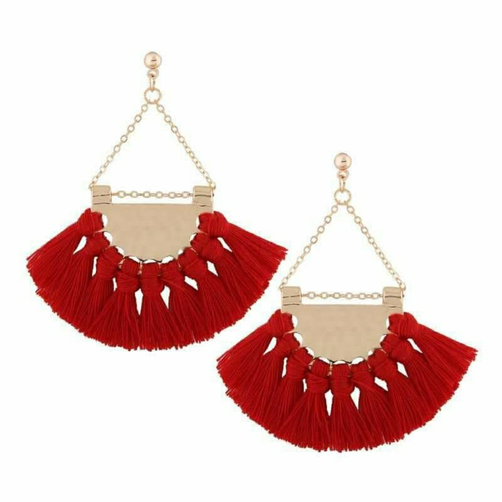 Gorgeous Tassel Earrings